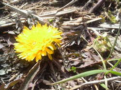 2012022713410001.jpg