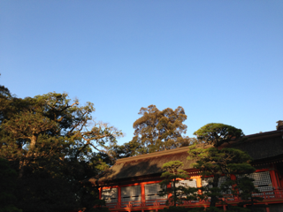 image-20121119122437.png